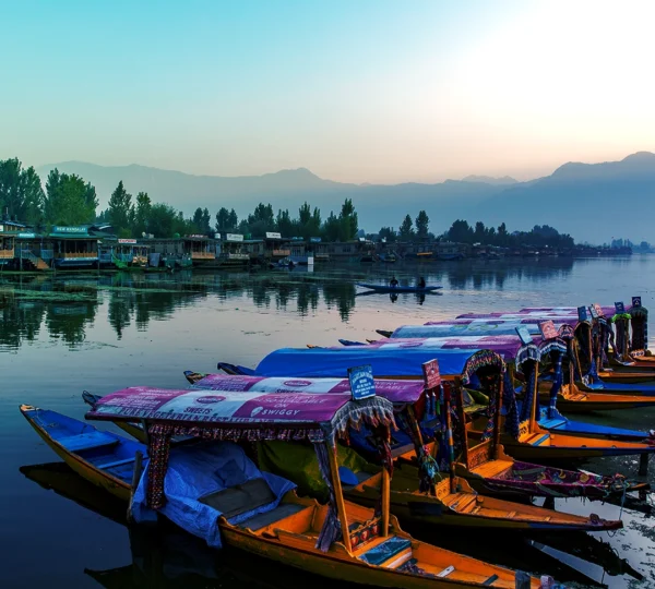 Kashmir Valley Tour